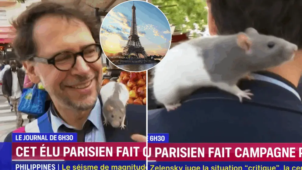 Paríž, potkany