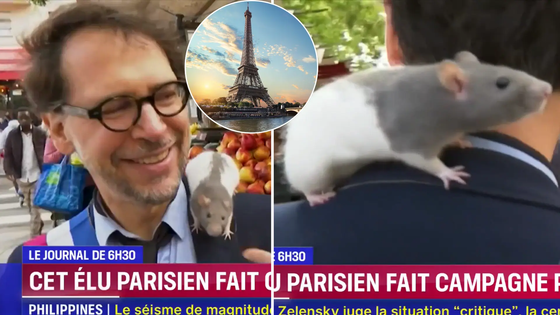 Paríž, potkany