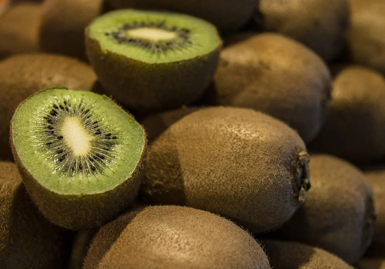 kiwi