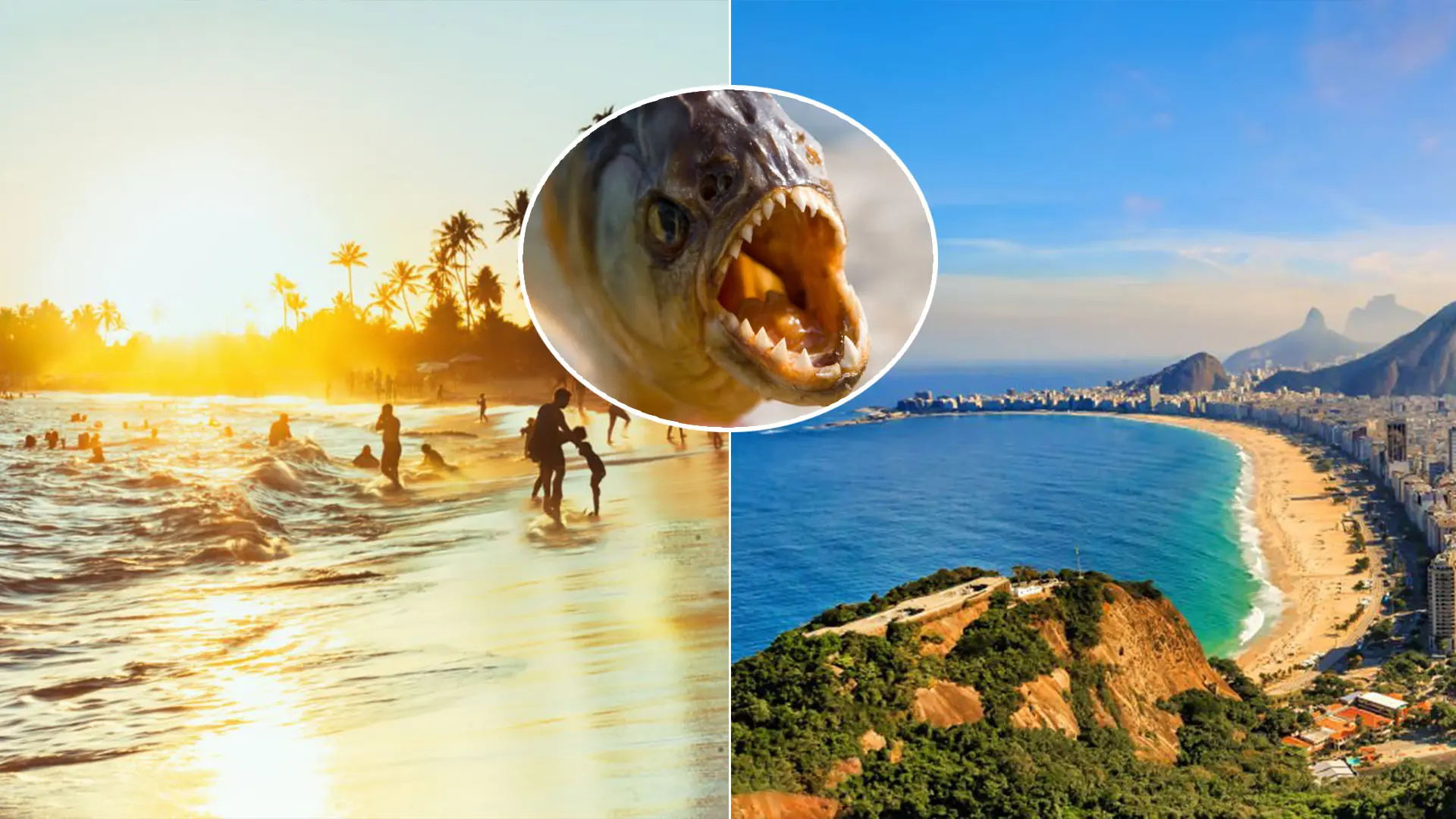 Brazília pláž pirane