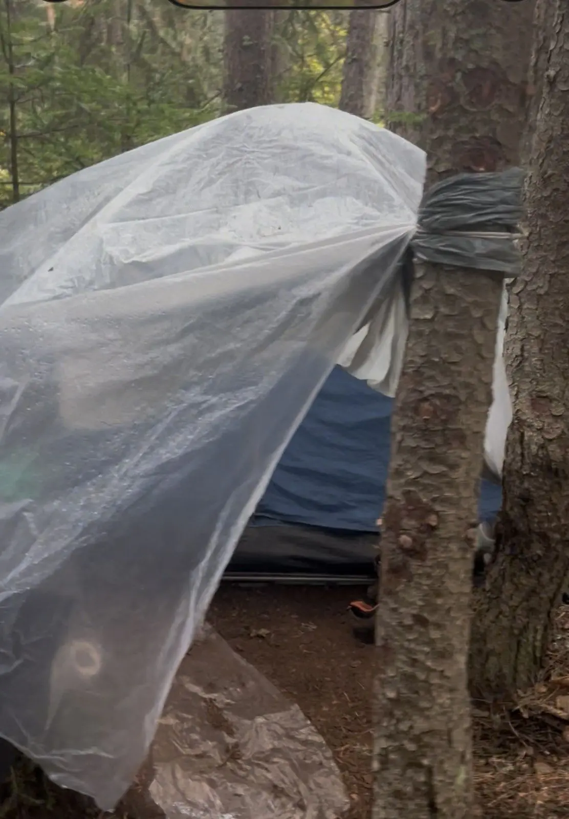 Bulhar národný park Pirin