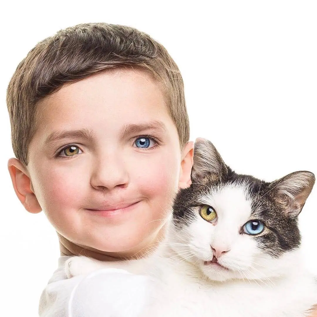 chlapec, tvár, mačka