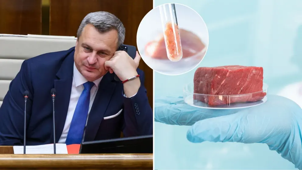 SNS, zákon, mäso, syntetické