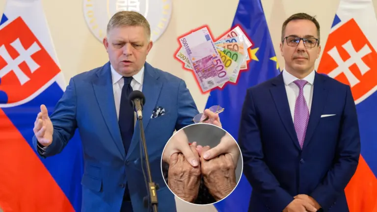 vláda, reforma, sociálne služby