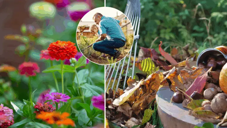 záhrada, november, teplo