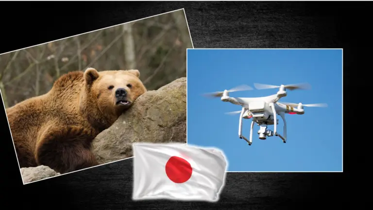 medvede, Japonsko, drony