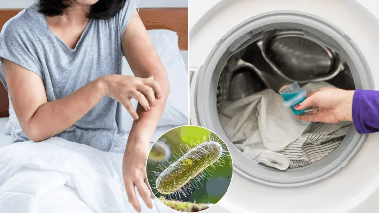 posteľ, roztoče, baktérie