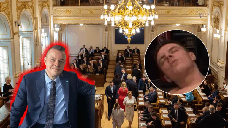 Jindřich Rajchl, video, sexuálne, trestné oznámenie