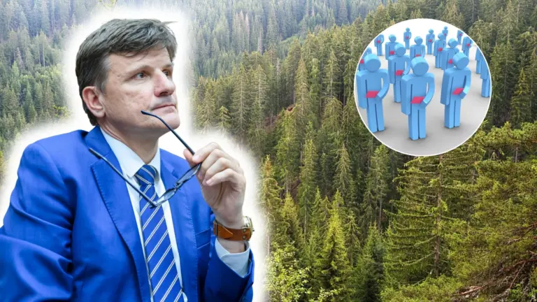 hlina prepúšťanie lesy sr