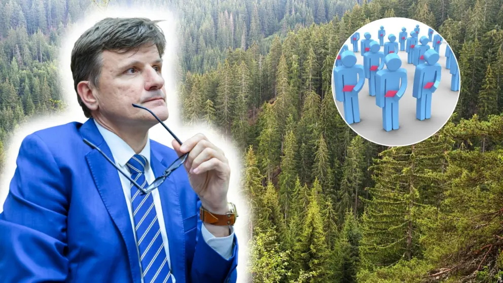 hlina prepúšťanie lesy sr