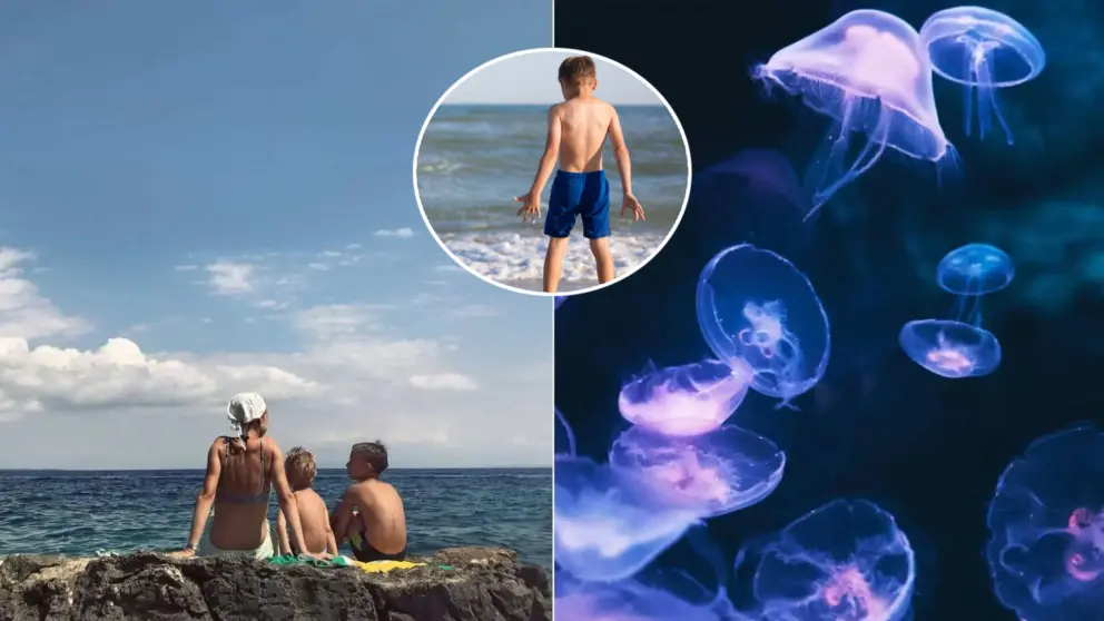 chlapec medúza dieťa pláž