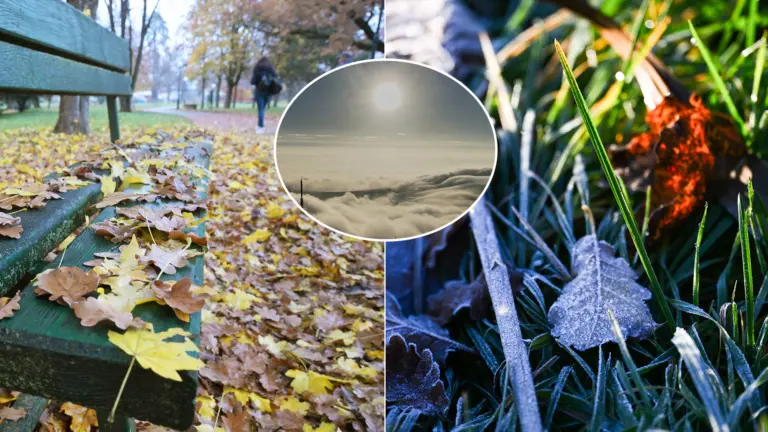 jeseň námraza slnko