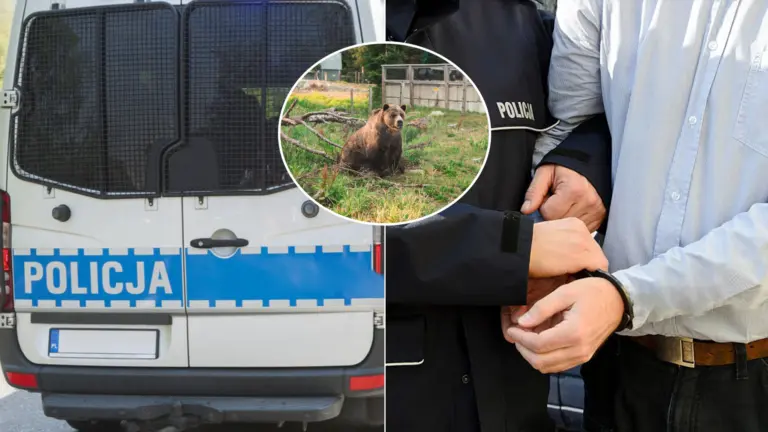 medveď polícia Poľsko