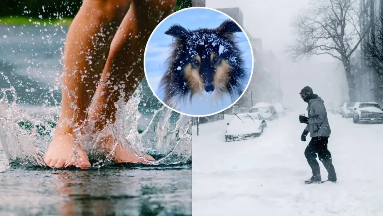 Výrazné sneženie môže ochromiť západ a sever