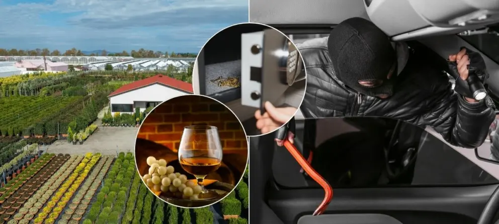 družstvo, zlodej, koňak, trezor