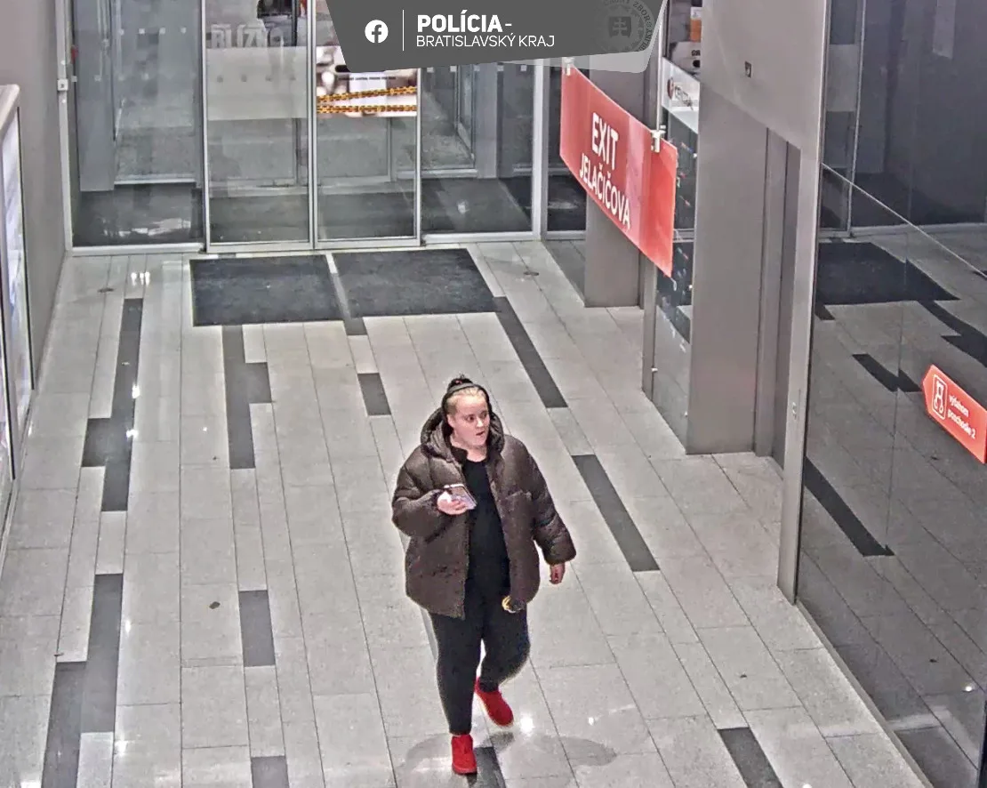 krádež olejomaľba žena Bratislava