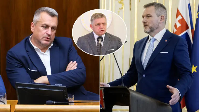 Danko Pellegrini Fico