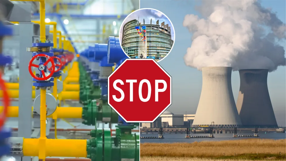 plyn, jadrová energia