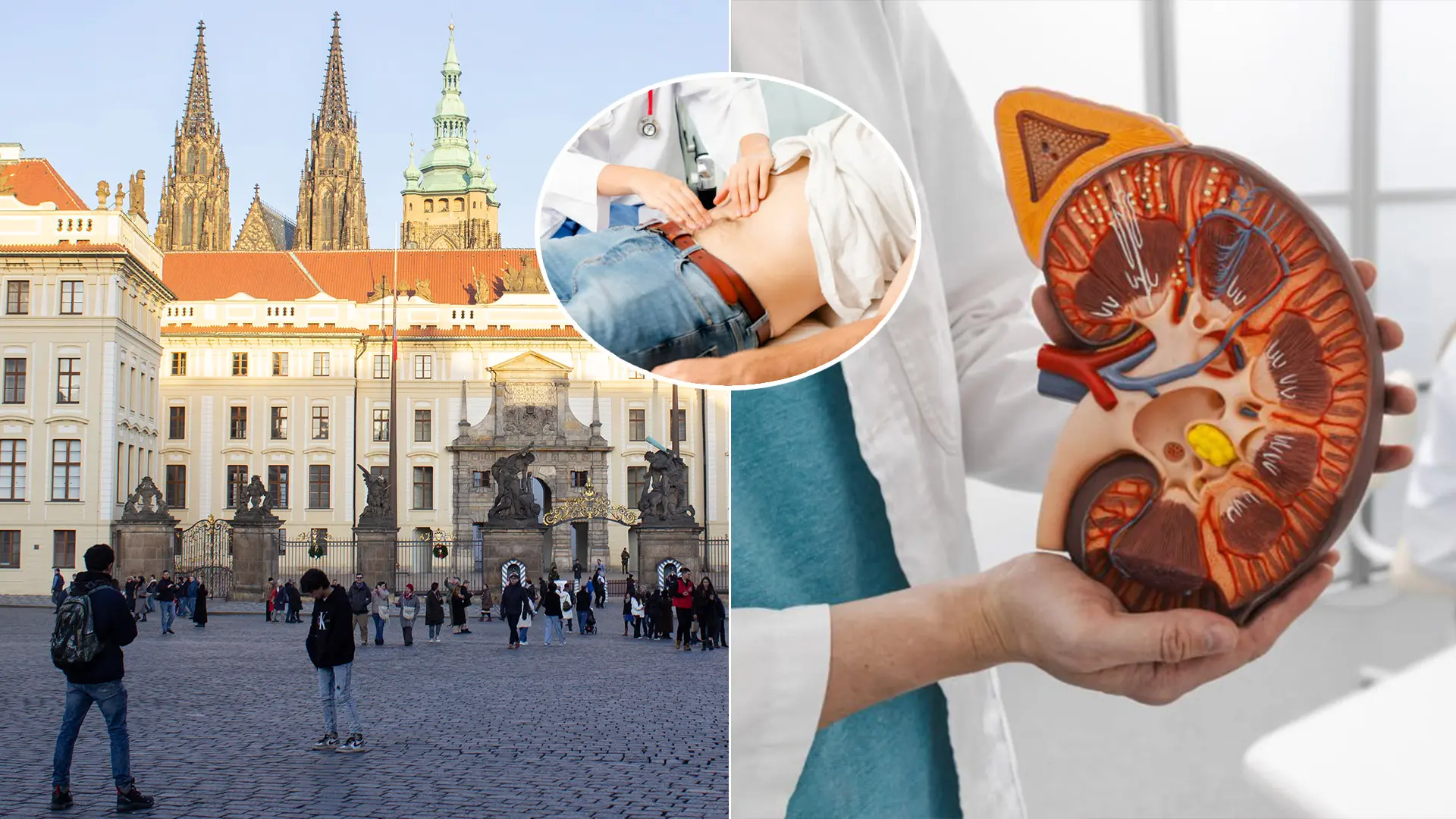 Česko žltačka pečeň Praha