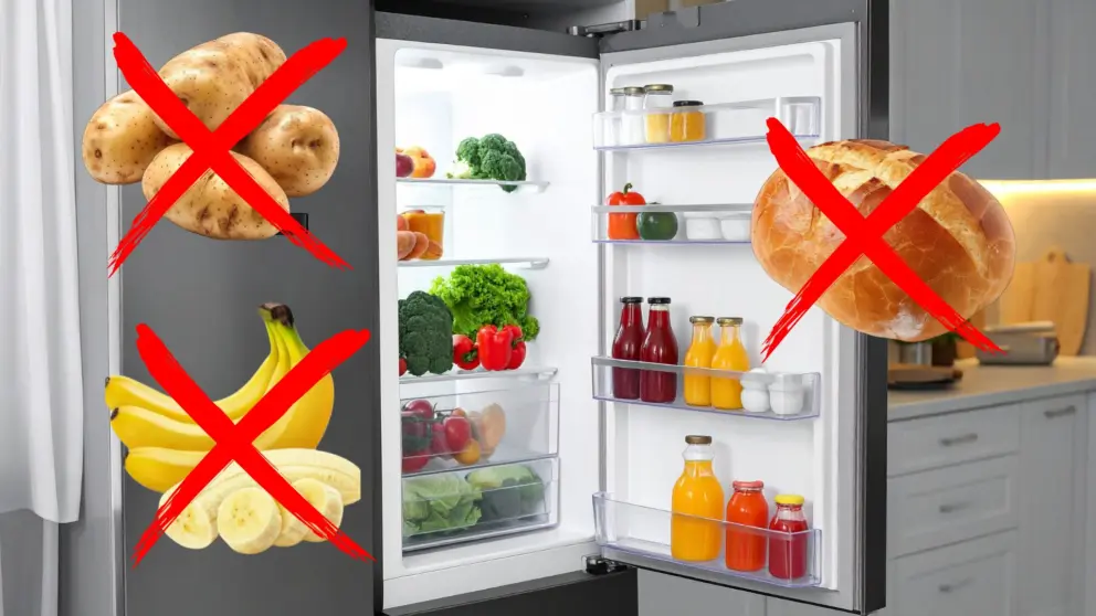 chladnička, potraviny