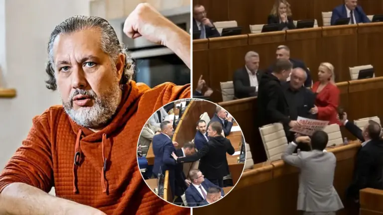 Oskar Rózsa, parlament