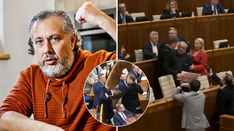 Oskar Rózsa, parlament