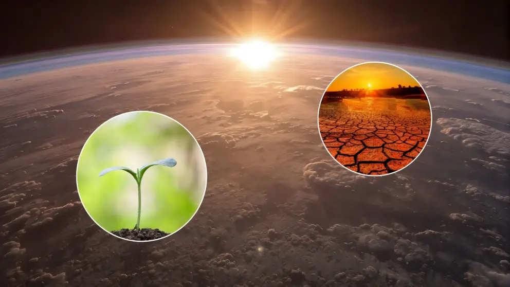 globálne otepľovanie, rastliny