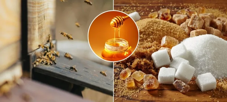med, cukor, úľ