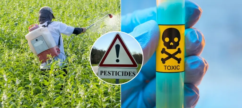 pesticidy, jed, postrek