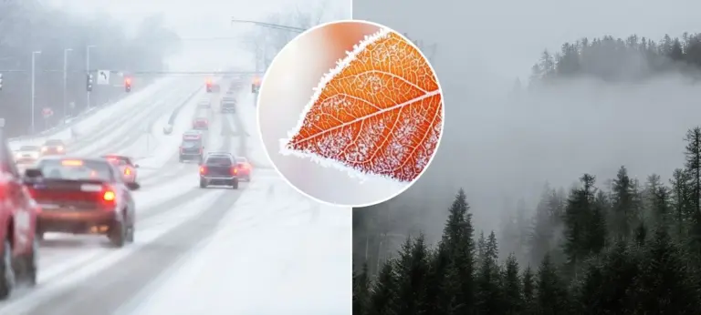 počasie, sneh, hmla