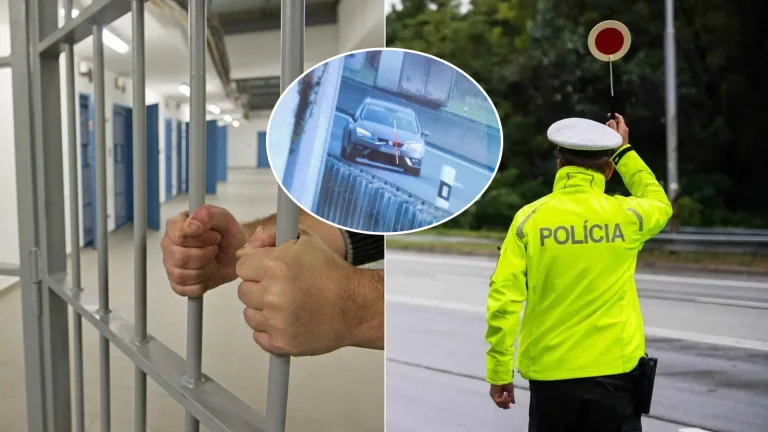 vodič väzba polícia