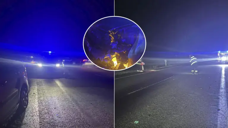 Zrážka auta s diviakom pri Veľkých Levároch