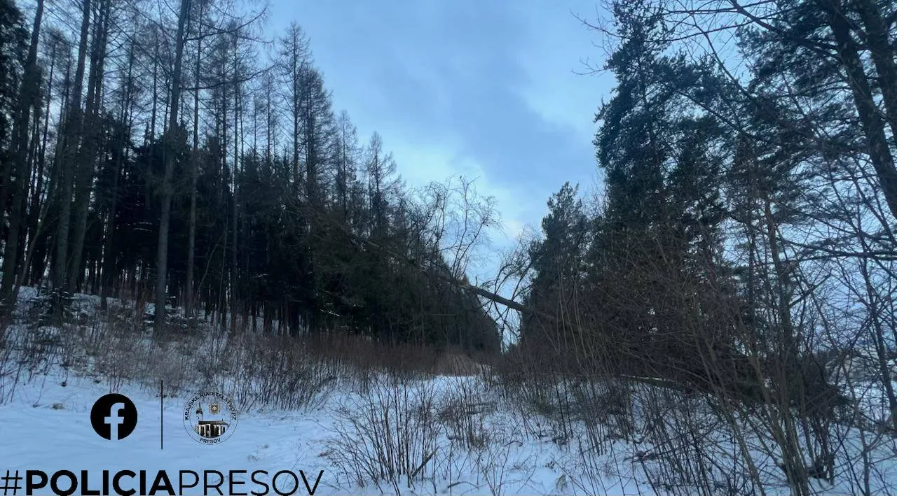 strom elektrické vedenie