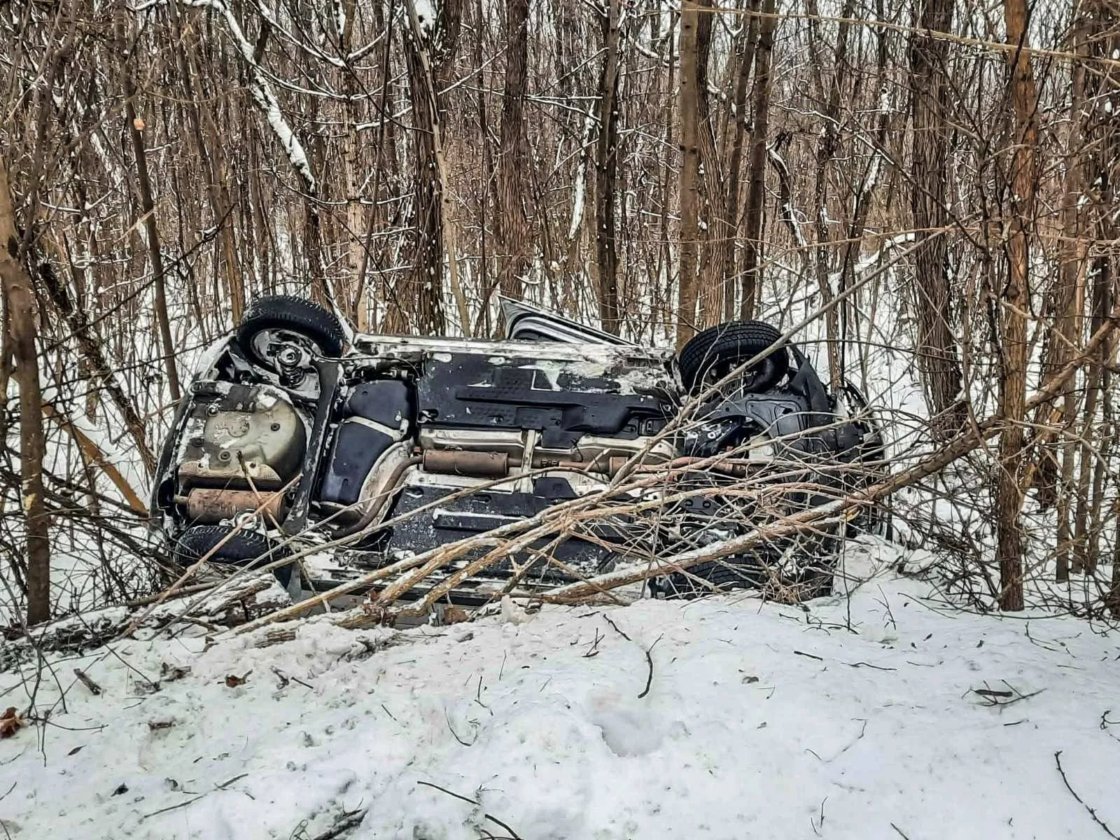 nehoda na ceste I/79 v úseku Svätuše – Kráľovský Chlmec