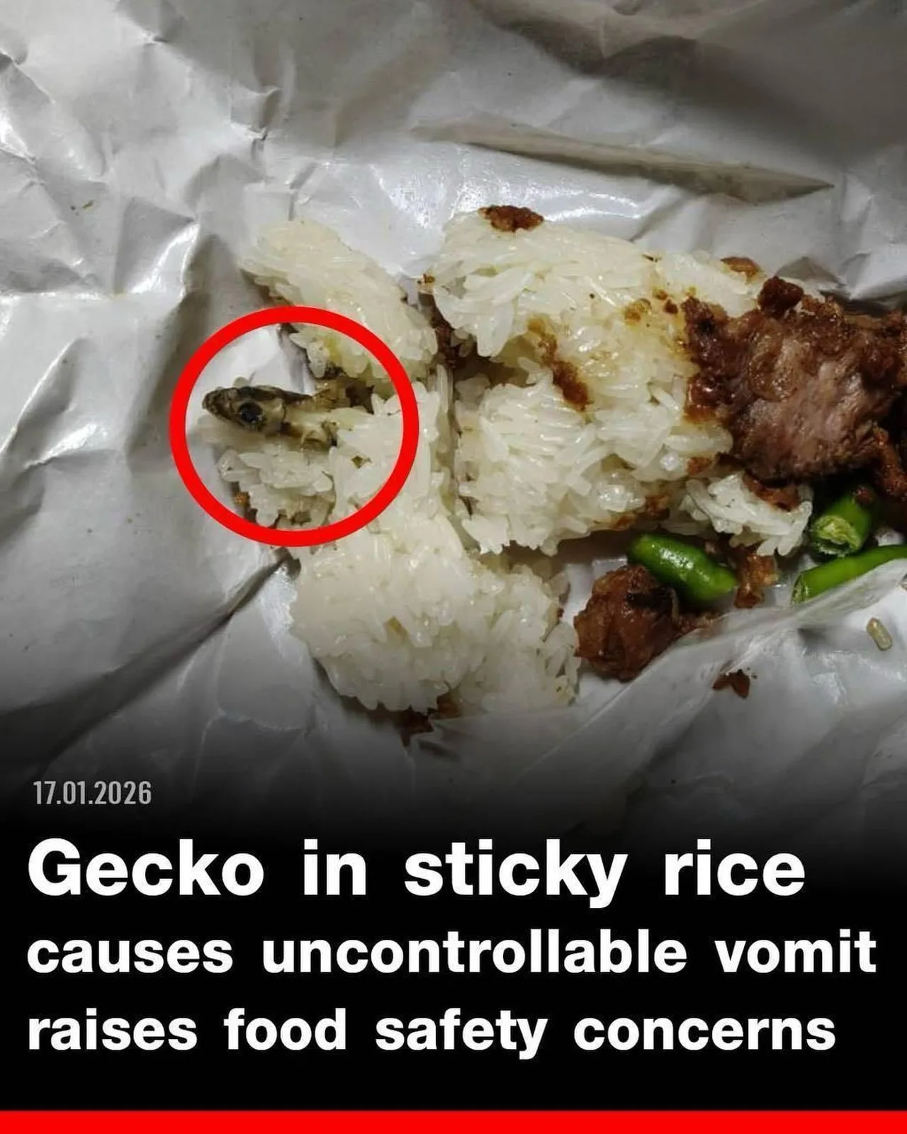 Thajsko jedlo s mŕtvym gekónom