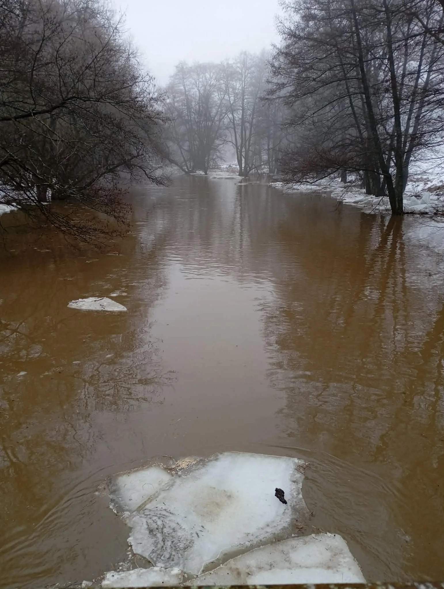 Slatina v úseku nad VD Môťová