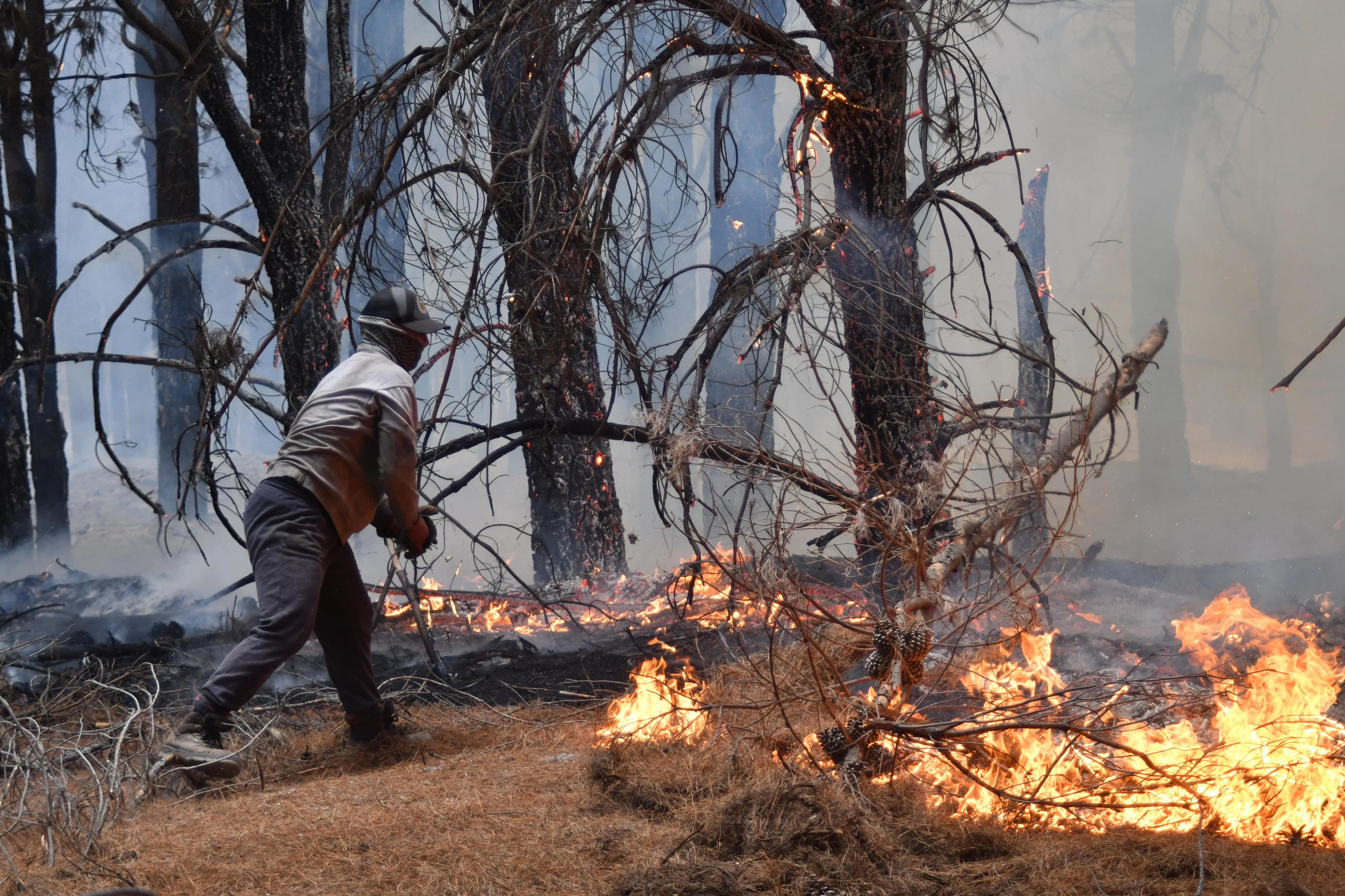 Argentína lesné požiare