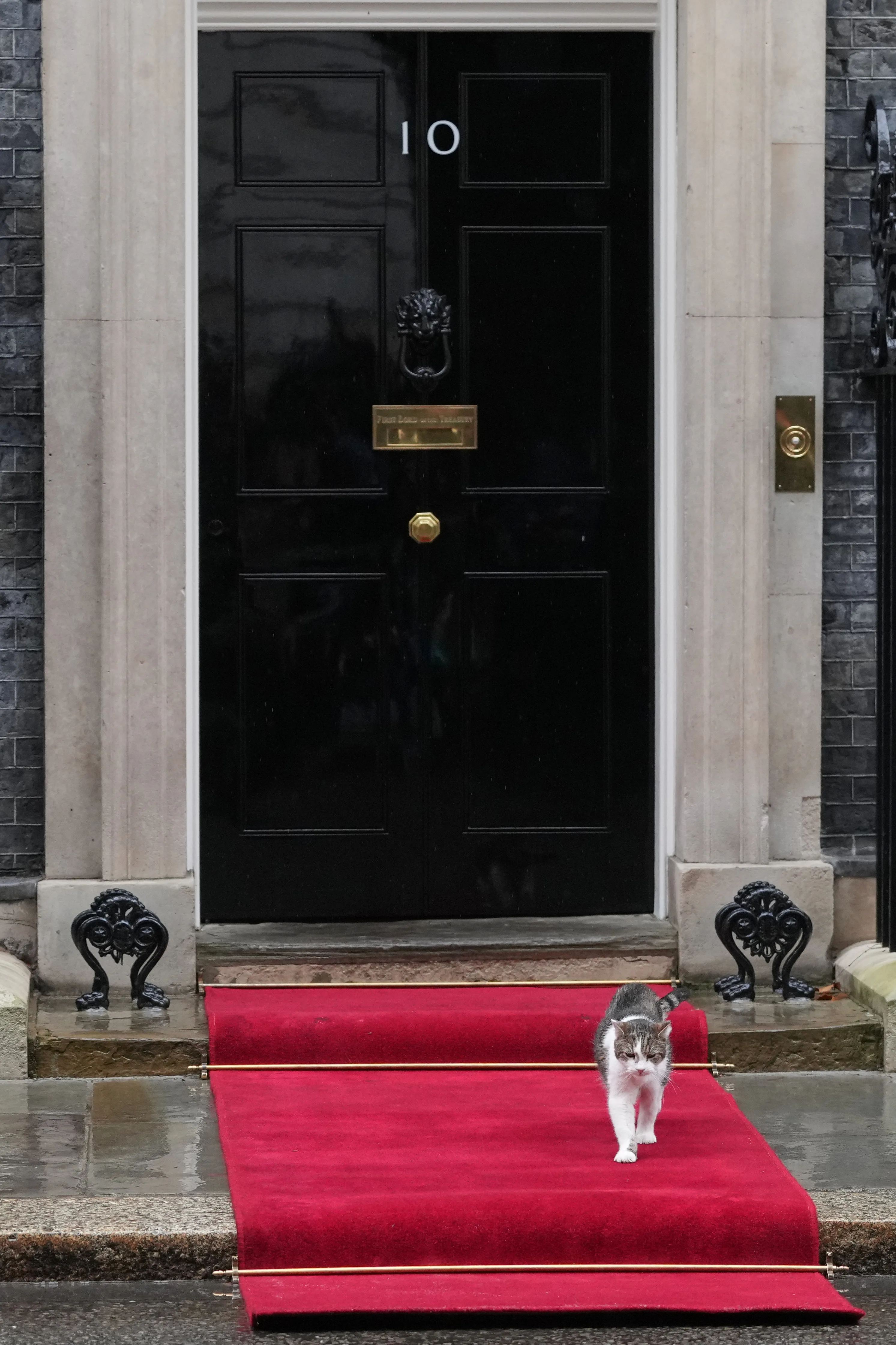 kocúr Larry poľský prezident Karol Nawrocki v Británii