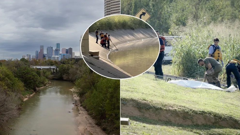 Houston mesto rieka telá