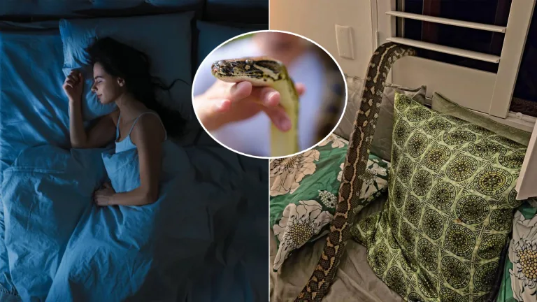 Rachel Bloorová had pytón