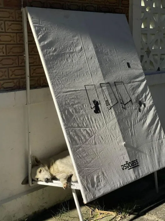 Zdroj: Instagram - Archdose