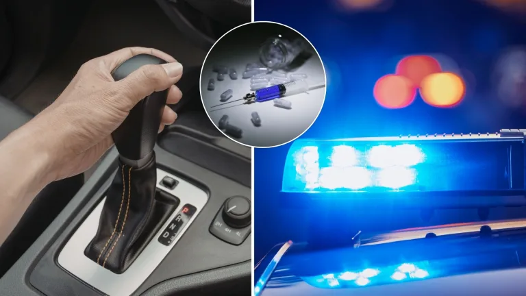 drogy, vodič, polícia