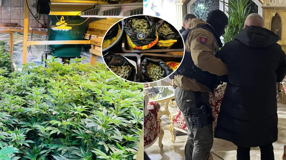 akcia kvetinár Pezinok