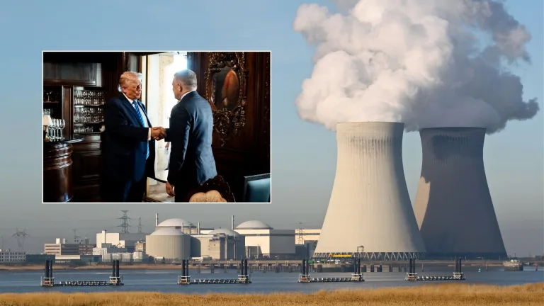 fico trump westinghouse