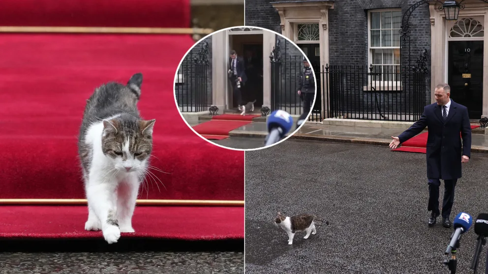 kocúr Larry poľský prezident Karol Nawrocki v Británii