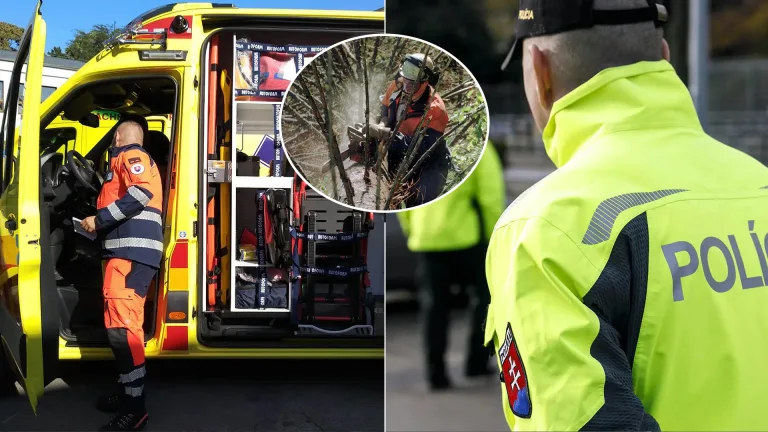 drevorubač pilčík strom polícia