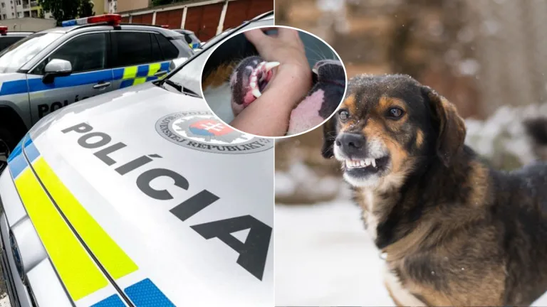 napadnutie psy polícia