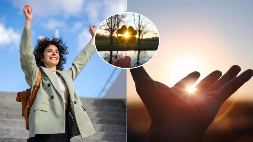 šťastie radosť štvorlístok