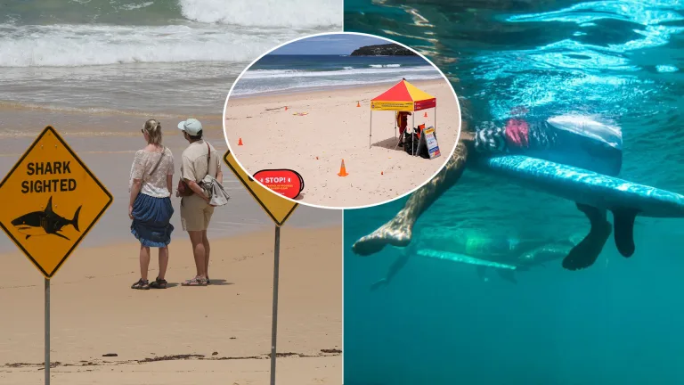 Sydney útok žraloka