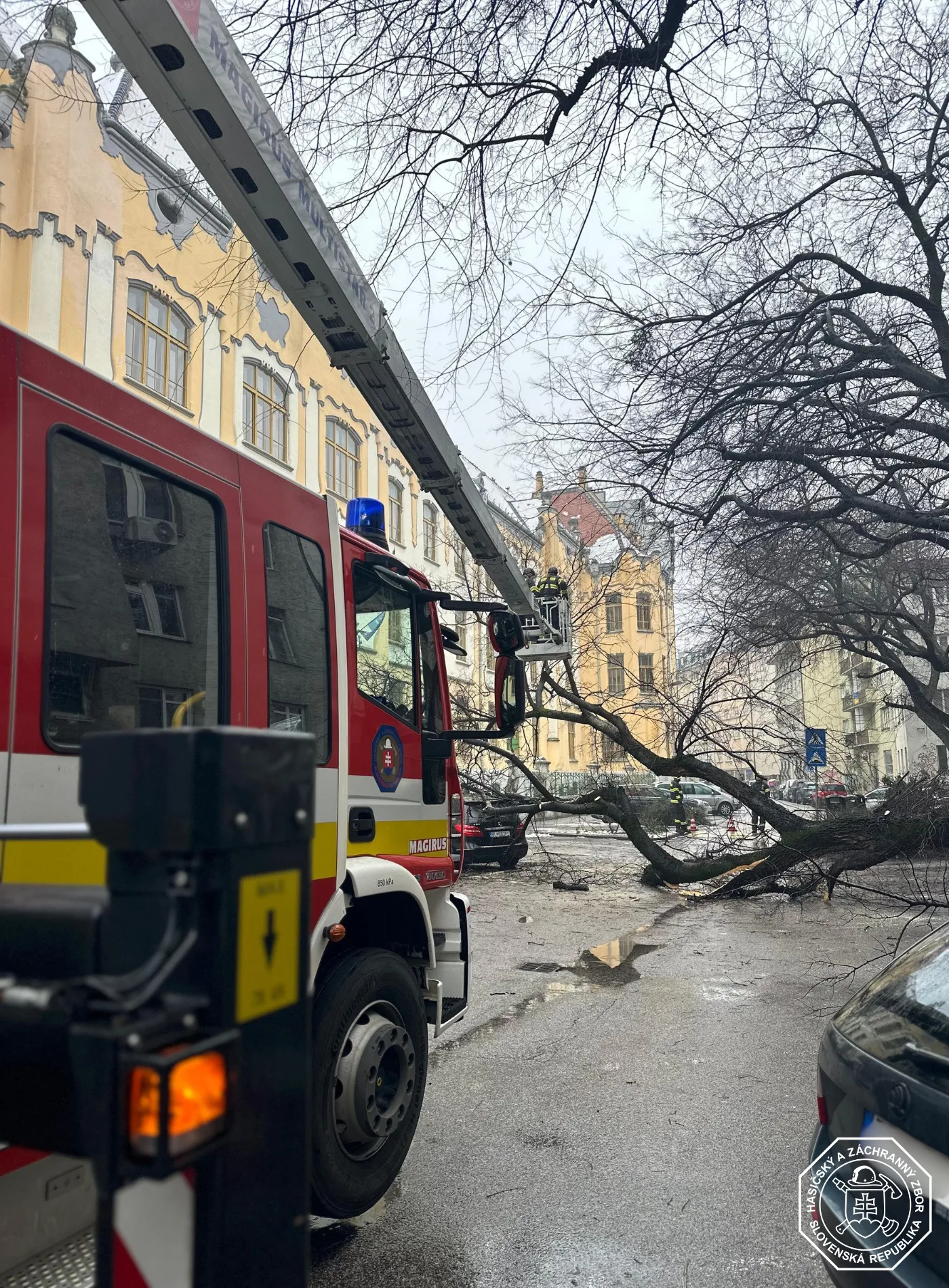 hasiči strom Bratislava